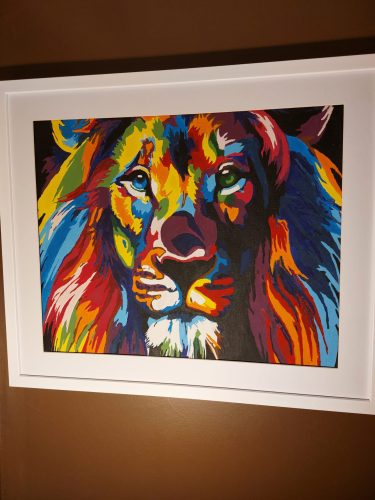 Renklerin Kralı Aslan Sayılarla Boyama Seti photo review