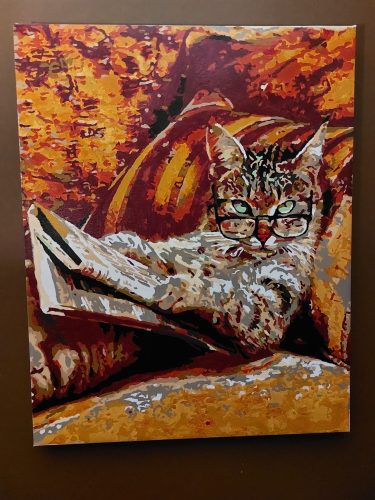 Keyfekeder Kedi Sayılarla Boyama Seti photo review
