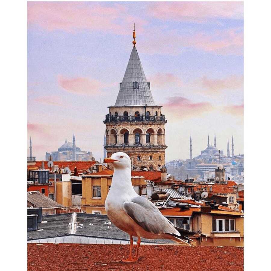 Galata Kulesi ve Martı Sayılarla Boyama Seti
