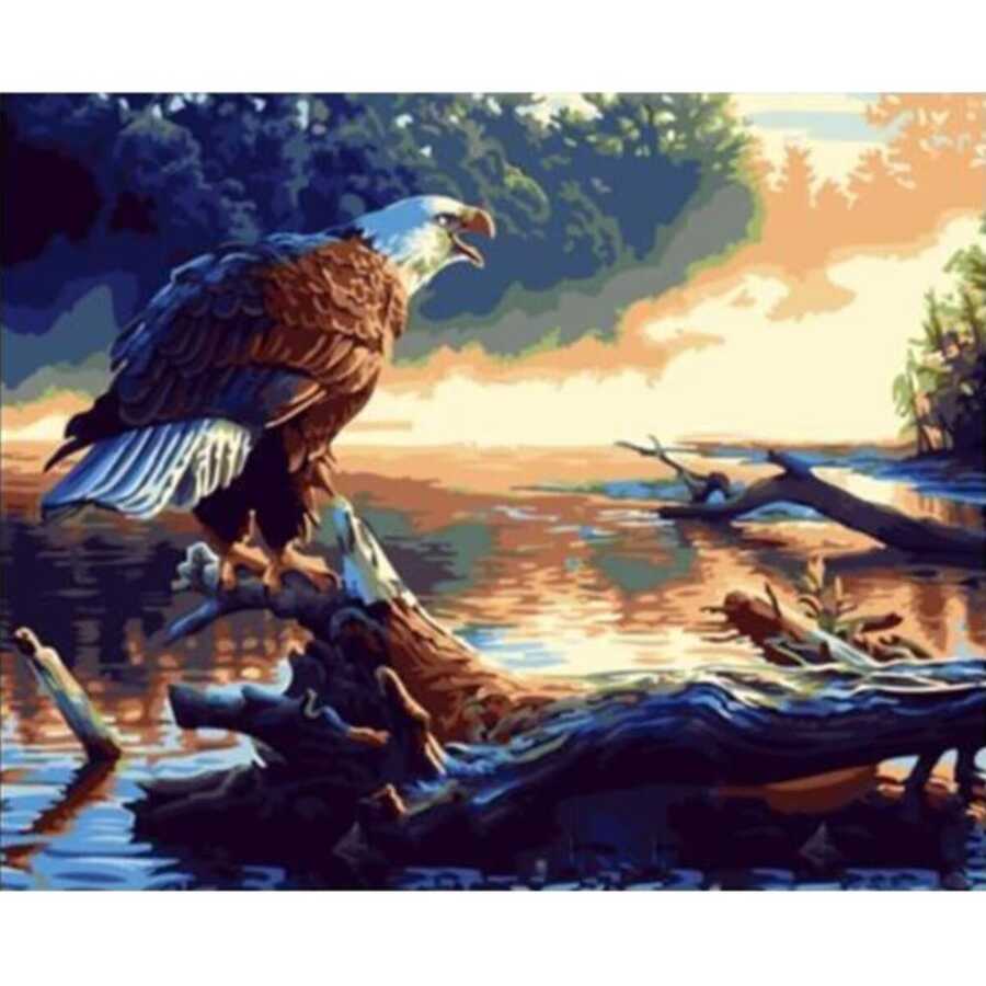 Göldeki Kartal Sayılarla Boyama Seti