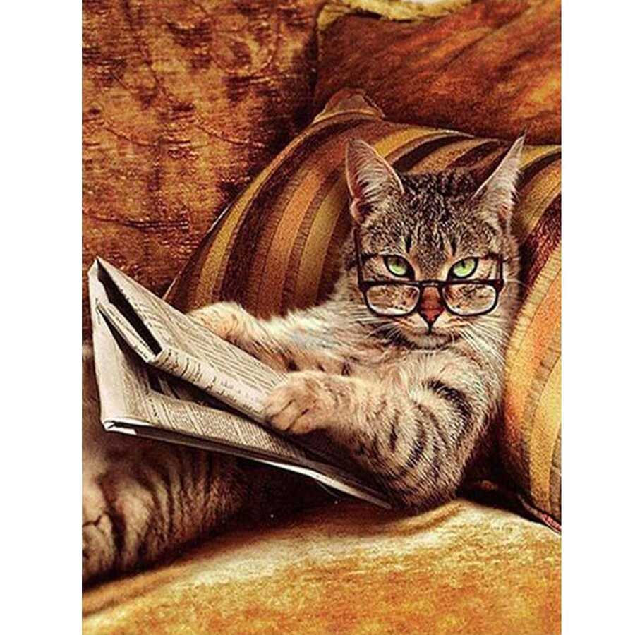 Keyfekeder Kedi Sayılarla Boyama Seti