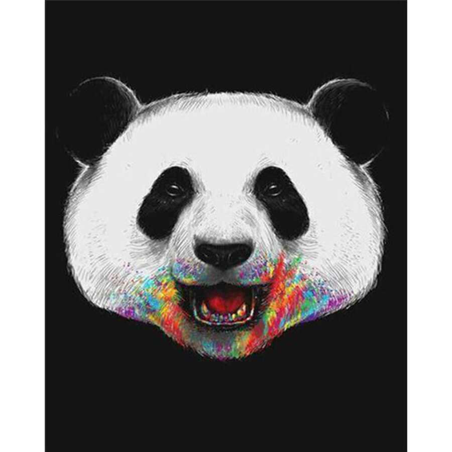 Pandam Renkli Sayılarla Boyama Seti