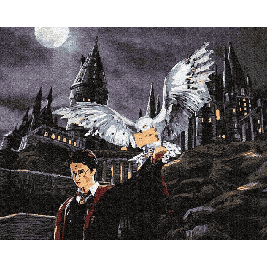 Harry Potterın Baykuşu Sayılarla Boyama Seti