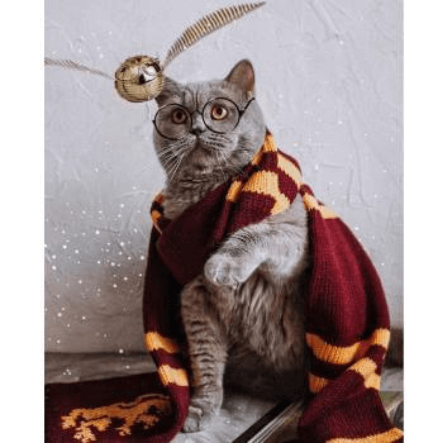 Atkılı Kedi Sayılarla Boyama Seti Çerçeveli 40x50