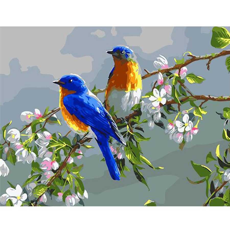 Bahar ve Kuşlar Sayılarla Boyama Seti 40x50cm