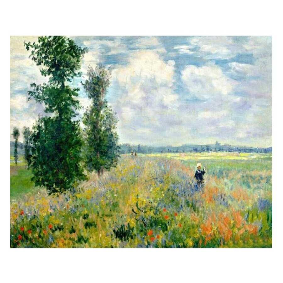 Claude Monet Haşhaş Bahçesi Sayılarla Boyama Seti 40x50cm