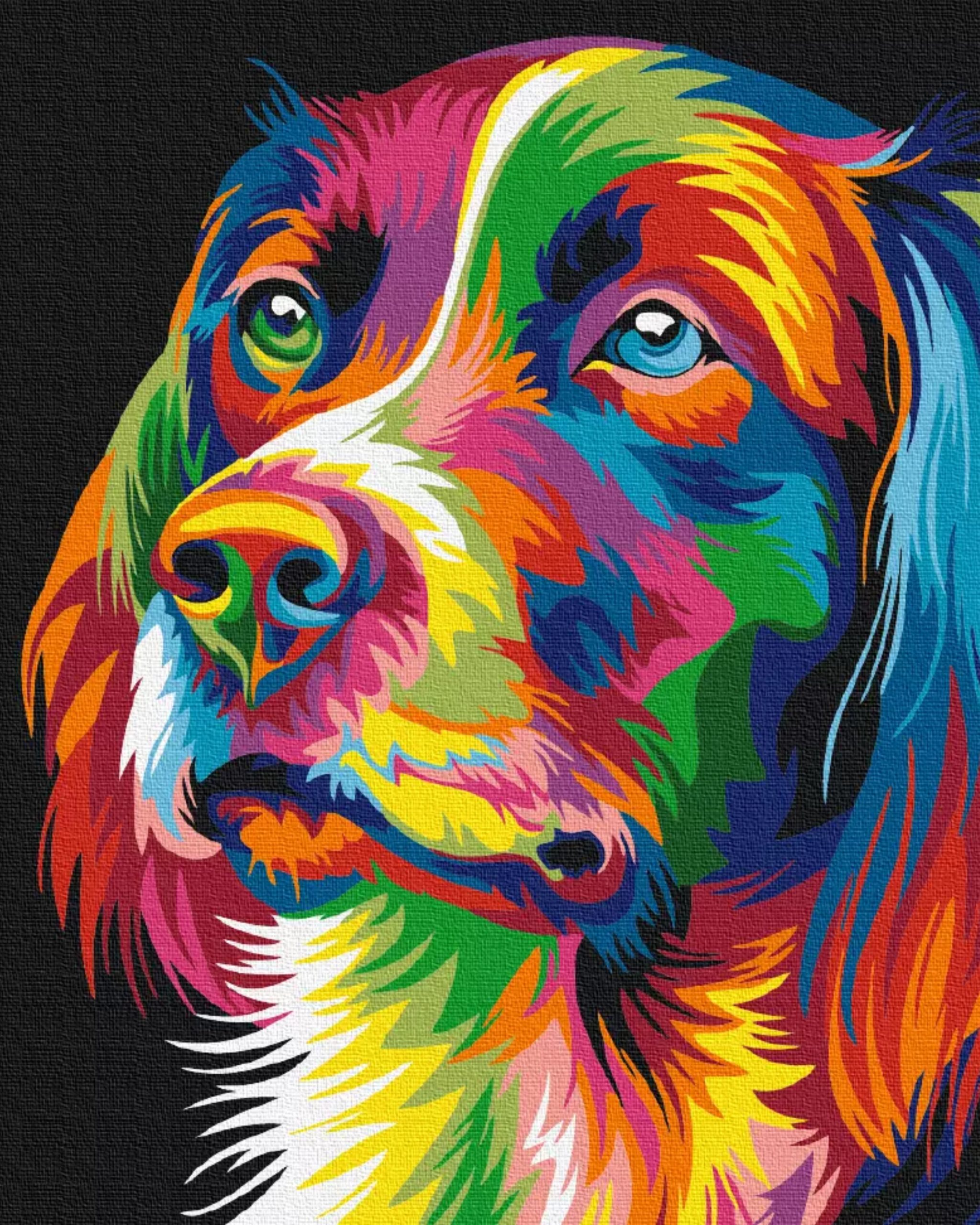 Renkli Köpek Sayılarla Boyama Seti 40x50cm